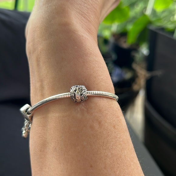 Authentic Retired Pandora grape, wine glass, wine bottle charm - Picture 1 of 2